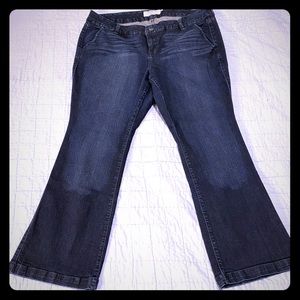 Torrid flair jeans